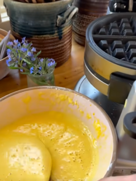 Making Lunch with Hannah – Homemade Grilled Cheese & Squash Soup with Baked Fish Sourdough Starter for Waffles – Ballerina Farm Breakfast